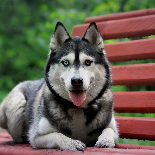 Hd-174810-ascw174810