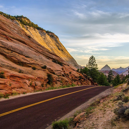 Hd-170173-ascw170173