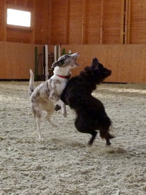 P1020774k.JPG