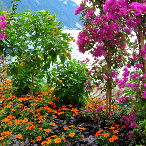 Hd-161989-ascw161989