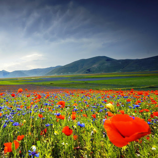 Hd-152458-ascw152458