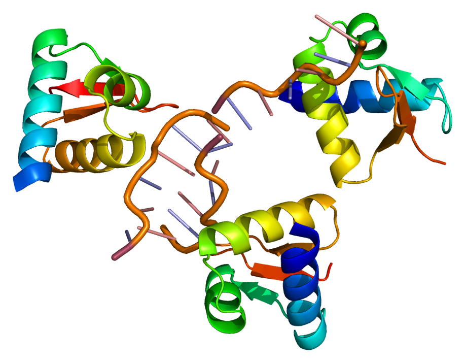 [Protein_ADAR_PDB_1qbj%255B4%255D.png]