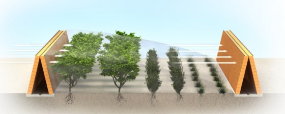 sahara-forest-project-qatar-2.jpeg