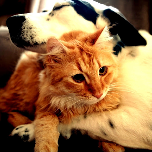 Hd-134720-ascw134720