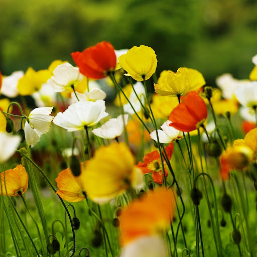 Hd-142666-ascw142666