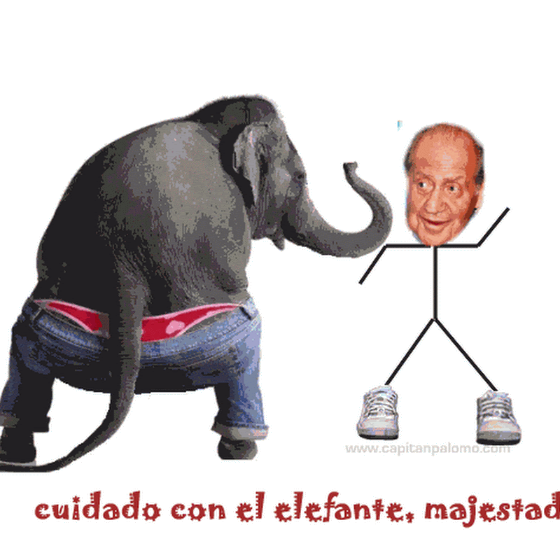 gif divertido El Rey y el Elefante (humor)