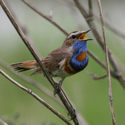 Hd-182612-ascw182612