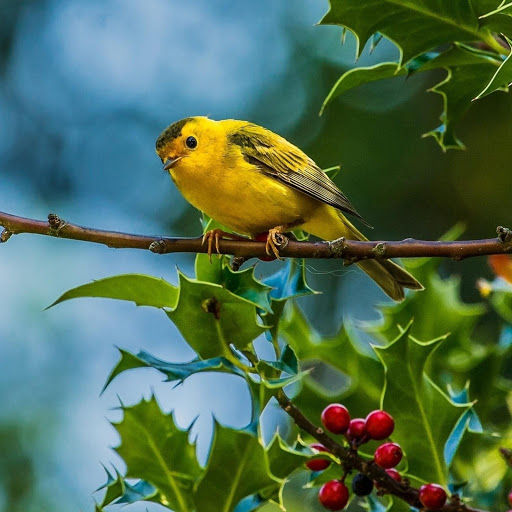 Hd-185634-ascw185634