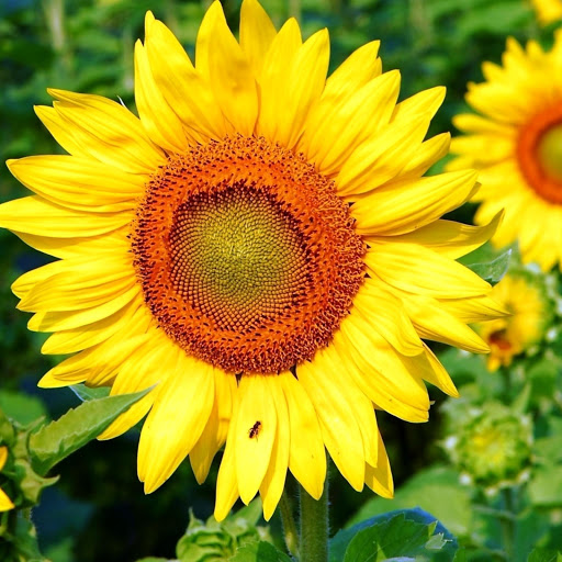 Hd-149134-ascw149134