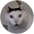 sirlucx khanthaphanit sirlucx khanthaphanit