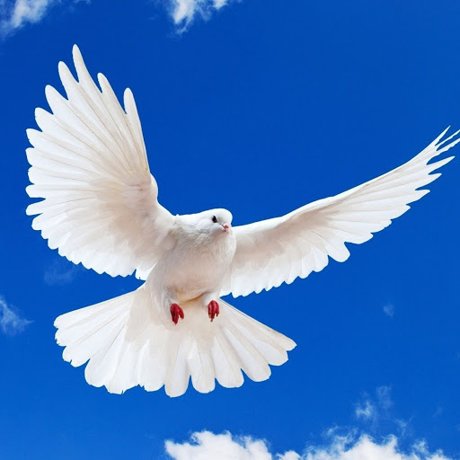 Hd-148854-ascw148854