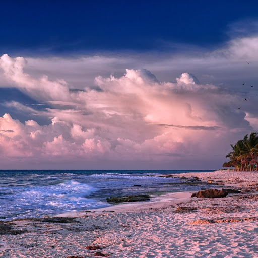 Hd-164555-ascw164555