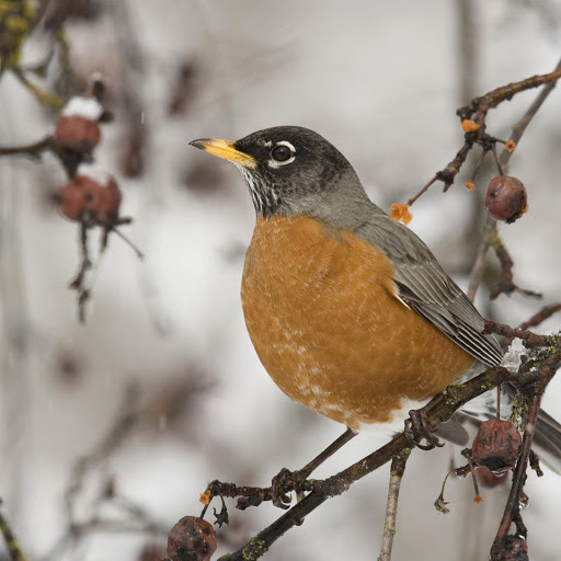 Hd-147169-ascw147169