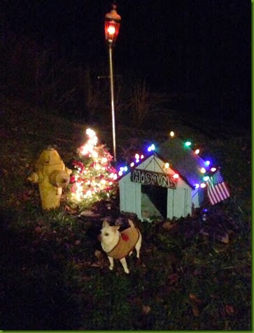 higgins Christmas dog house