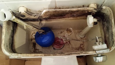 20150115_171424.jpg