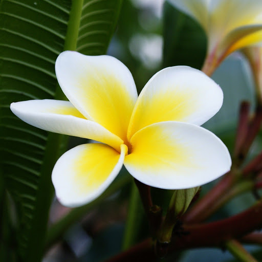 Hd-152783-ascw152783