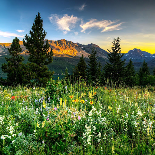 Hd-152446-ascw152446