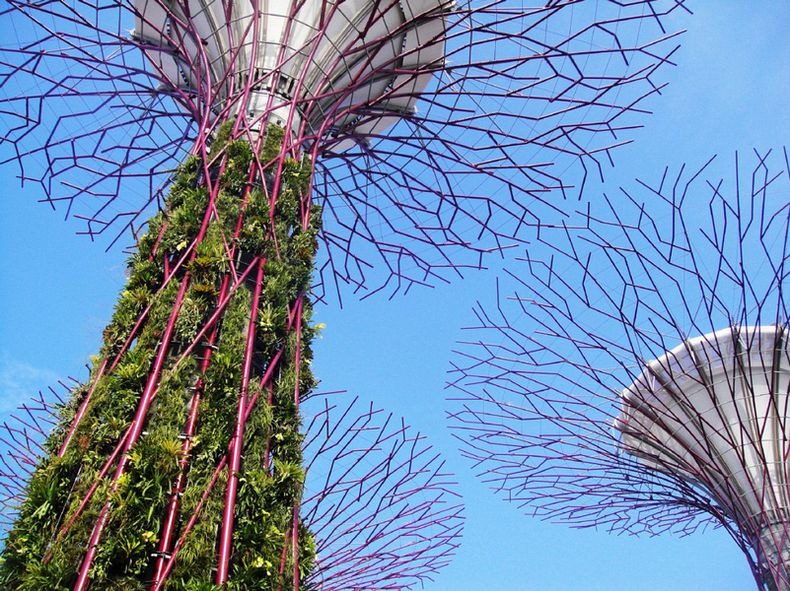 supertrees-singapore-11
