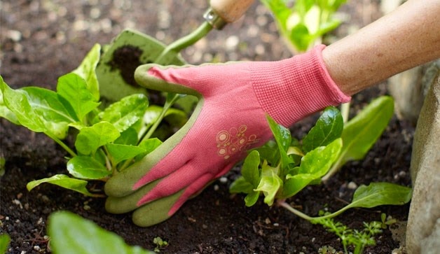 [clip_image001%255B4%255D.jpg]