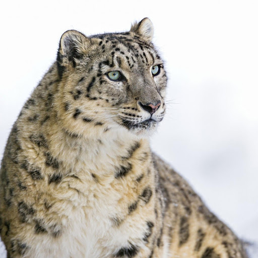 Hd-177214-ascw177214