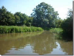 leaving the welford arm