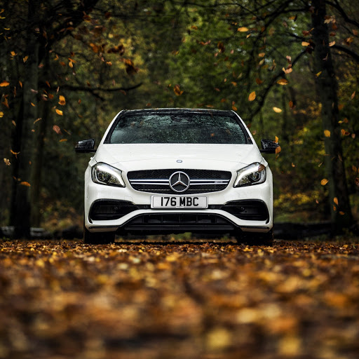 Hd-175503-ascw175503