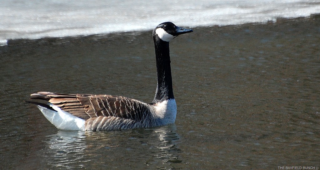 [DSC_3895%255B5%255D.jpg]