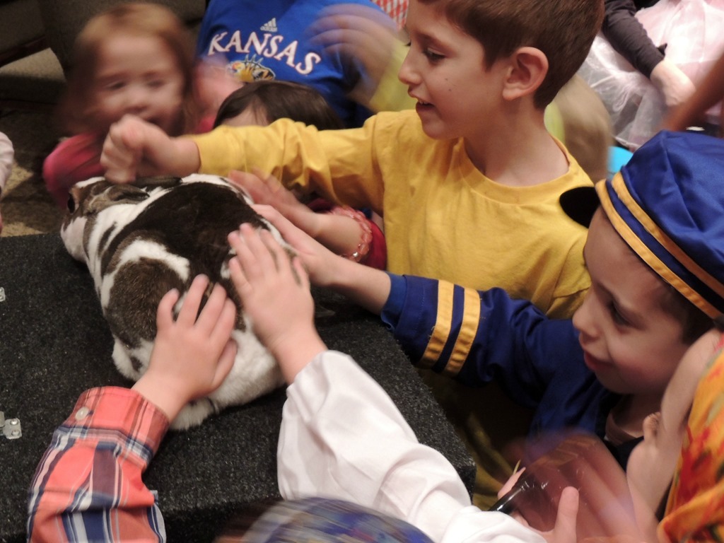 [DSCN2396%255B3%255D.jpg]