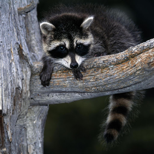 Hd-178489-ascw178489