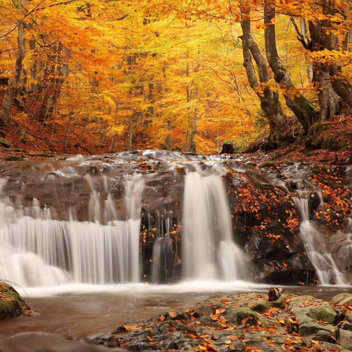 Hd-165080-ascw165080