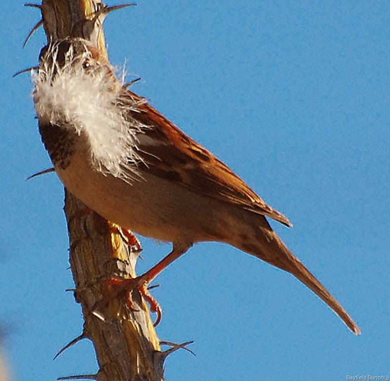 [DSC_0754%255B4%255D.jpg]