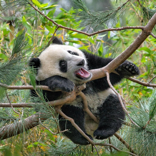 Hd-180383-ascw180383