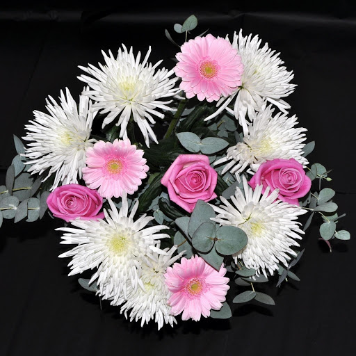 Hd-177916-ascw177916