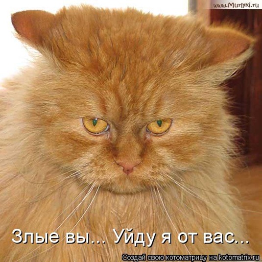 [1054955%255B5%255D.jpg]