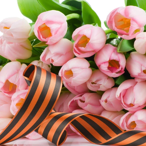 Hd-149244-ascw149244