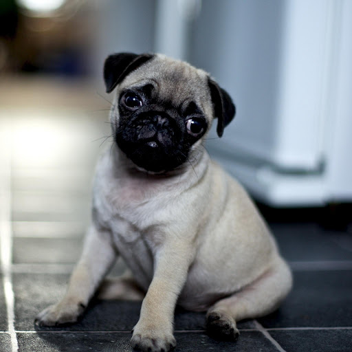 Hd-175921-ascw175921