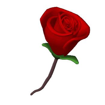 Cor_flor.png