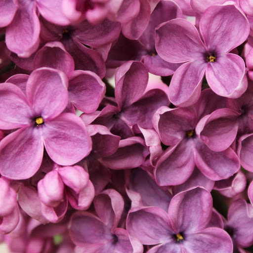 Hd-164281-ascw164281