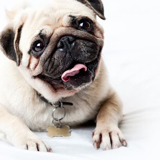 Hd-166395-ascw166395