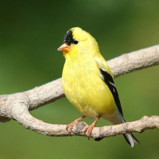 Hd-181327-ascw181327