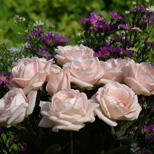 Hd-146777-ascw146777