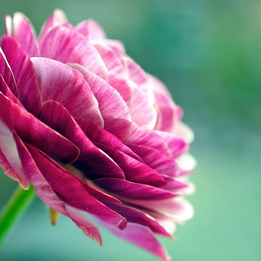 Hd-148783-ascw148783