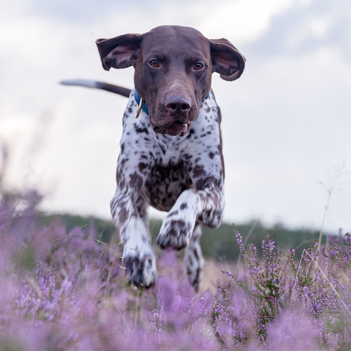 Hd-156041-ascw156041