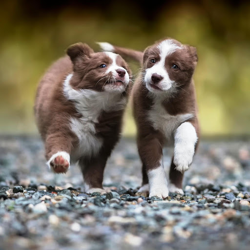 Hd-147441-ascw147441