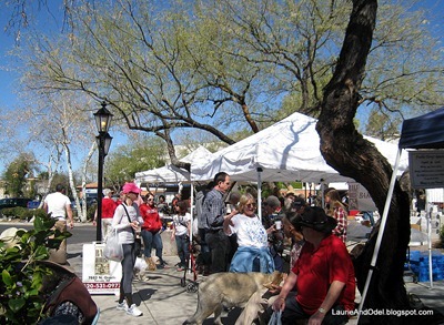 Tucson Sunday market