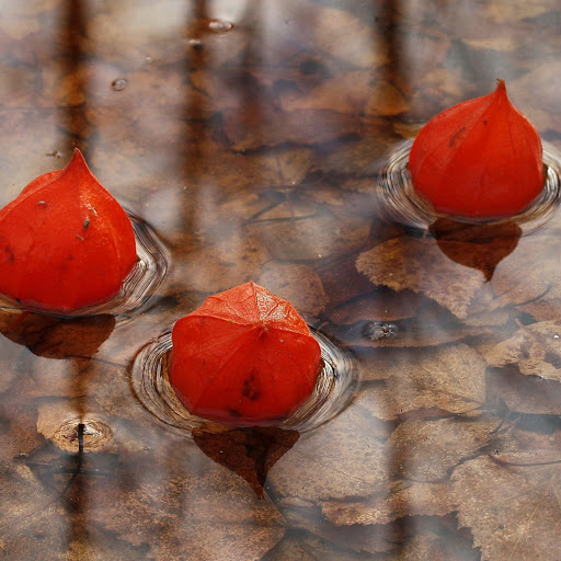 Hd-171760-ascw171760