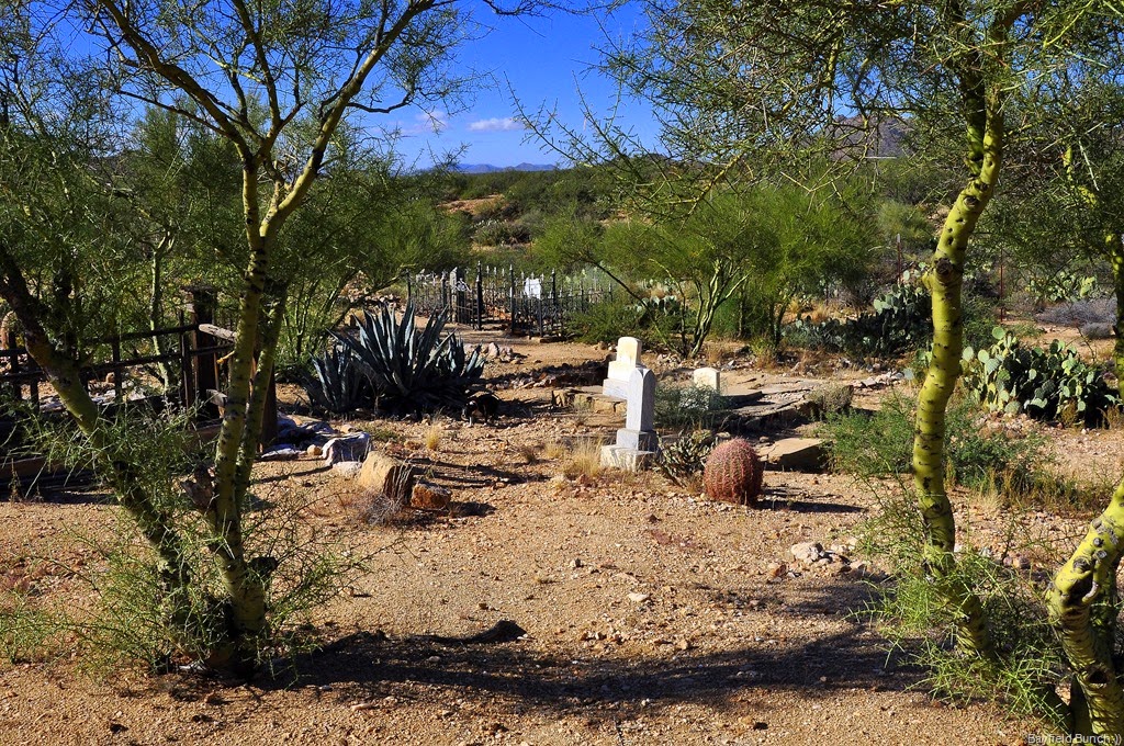 [DSC_0004%255B7%255D.jpg]