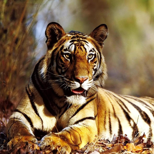 Hd-140366-ascw140366