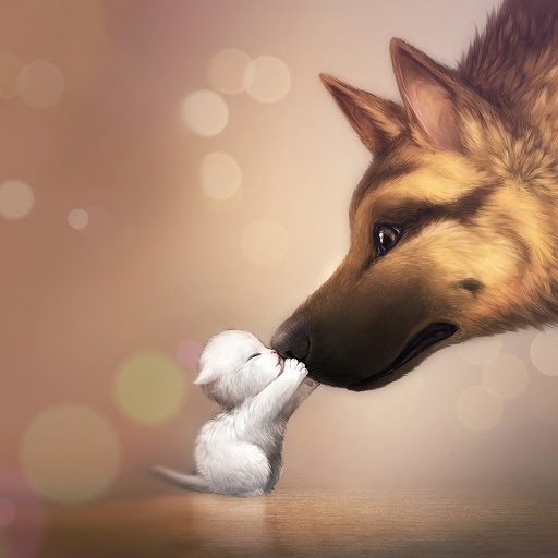 Hd-160616-ascw160616