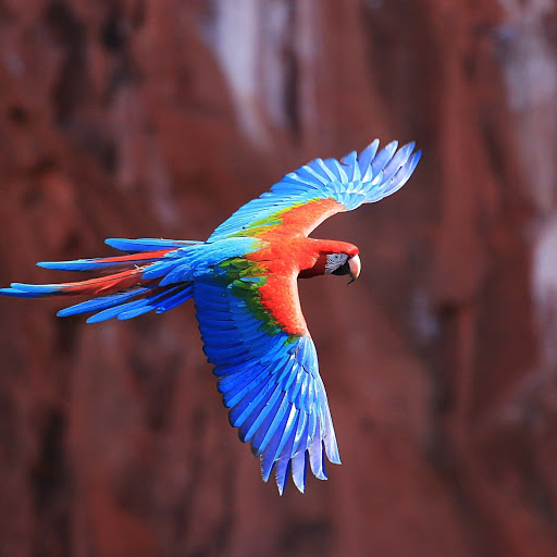 Hd-132667-ascw132667